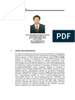 Curriculum Vitae-Nilo 2013