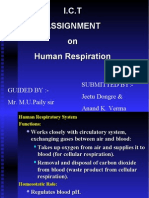 I.C.T ASSIGNMENT On Human Respiration