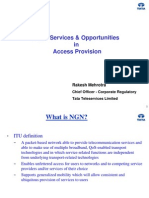 NGN: Services & Opportunities in Access Provision