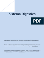 Sistema Digestivo