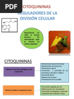 Expo Citoquininas