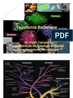 Taxonomia Bing 2013