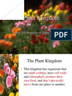 The Plant Kingdom: SOL 5.5: Kingdoms of Living Things