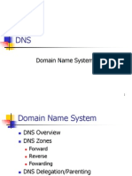 Domain Name Systems