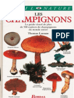 Les Champignons (Thomas Laessoe 1998)