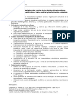 Apuntes TEMA 8 - Metabolismo Oxidativo