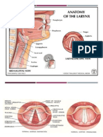 Benign Tumors of Larynx 