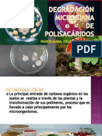 Degradación Microbiana