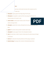 Vocabulary For Photosynthesis