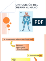 Composicion Del Cuerpo Humano