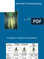 Rhizobium and Other N Fixing Bacteria: Nitrogenase