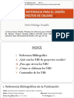 PPT-TDR Proyectos Sociales PDF