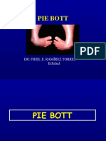 Pie Bot