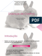 Doenças de Coelhos