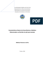 Caracteristicas Gerais Da Carne Bovina e Defeitos