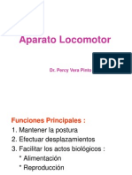 Aparato Locomotor