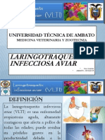 Laringotraqueitis Infecciosa Aviar, Gonzalez