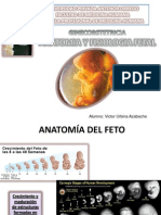 Seminario Bienestar Fetal Final