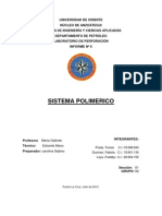 Informe P..