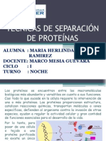 Tecnicas de Separación de Proteínas