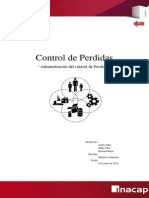 Informe Control de Perdidas