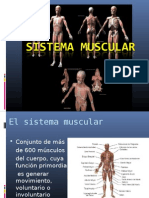 Sistema Muscular