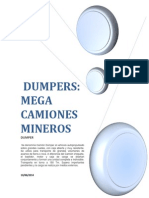 Informe de Dumper Oficial