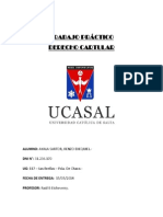 Trabajo Practico Cartular - Ayala Sartor Renzo Exequiel