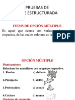 Prueba Base Estructurada