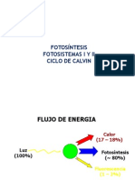 Bioquímica de La Fotosíntesis Ciclo de Calvin