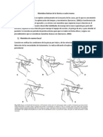 Maniobras Básicas de La Técnica A Cuatro Manos - Estiramientos Del Cirujano Dentista