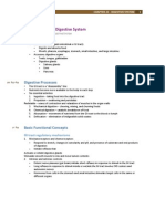 Chapter 23 - The Digestive System