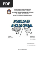 Informe Del Moquillo en Aves de Corral Arrollo