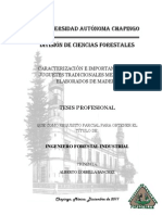 Tesis Caracterizacion e Importancia de 10 Juguetes Tradicionales Mexicanos Elaborados en Madera