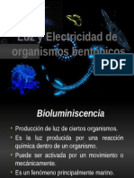 Bioluminiscencia