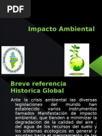 Impacto Ambiental PRESENTACION