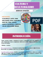 Cultura y Pluriculturalismo