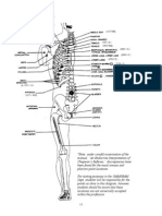 Chapman's Reflexes Chapter (Edited 9.25.12) (Dragged) PDF