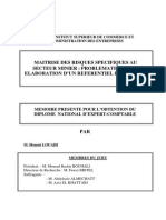 Maîtrise Des Risques Spécifiques Au Secteur Minier Problématiques Et Élaboration D'un Référentiel