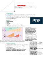 Resumo - Hematopoese e Eritropoese - Hematologia