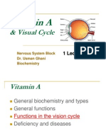 02 Vitamin A