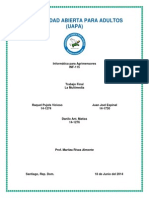 Trabajo Final de Informática para Agrimensores, La Multimedia