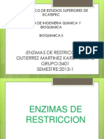 Enzimas Restriccion