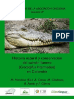 Caiman Crocodilus Crocodilus