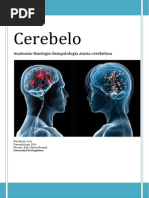 Cerebelo Final