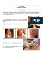 Sexo Oral - Guia Ilustrada Del Sexo Oral para Hombres y Mujeres