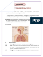 Sistema Respiratorio Anexos