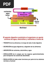 Motilidad Intestinal