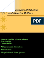 Carbohydrates Metabolism and Diabetes Mellitus