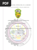 Informe N°7-Frutas Encurtido